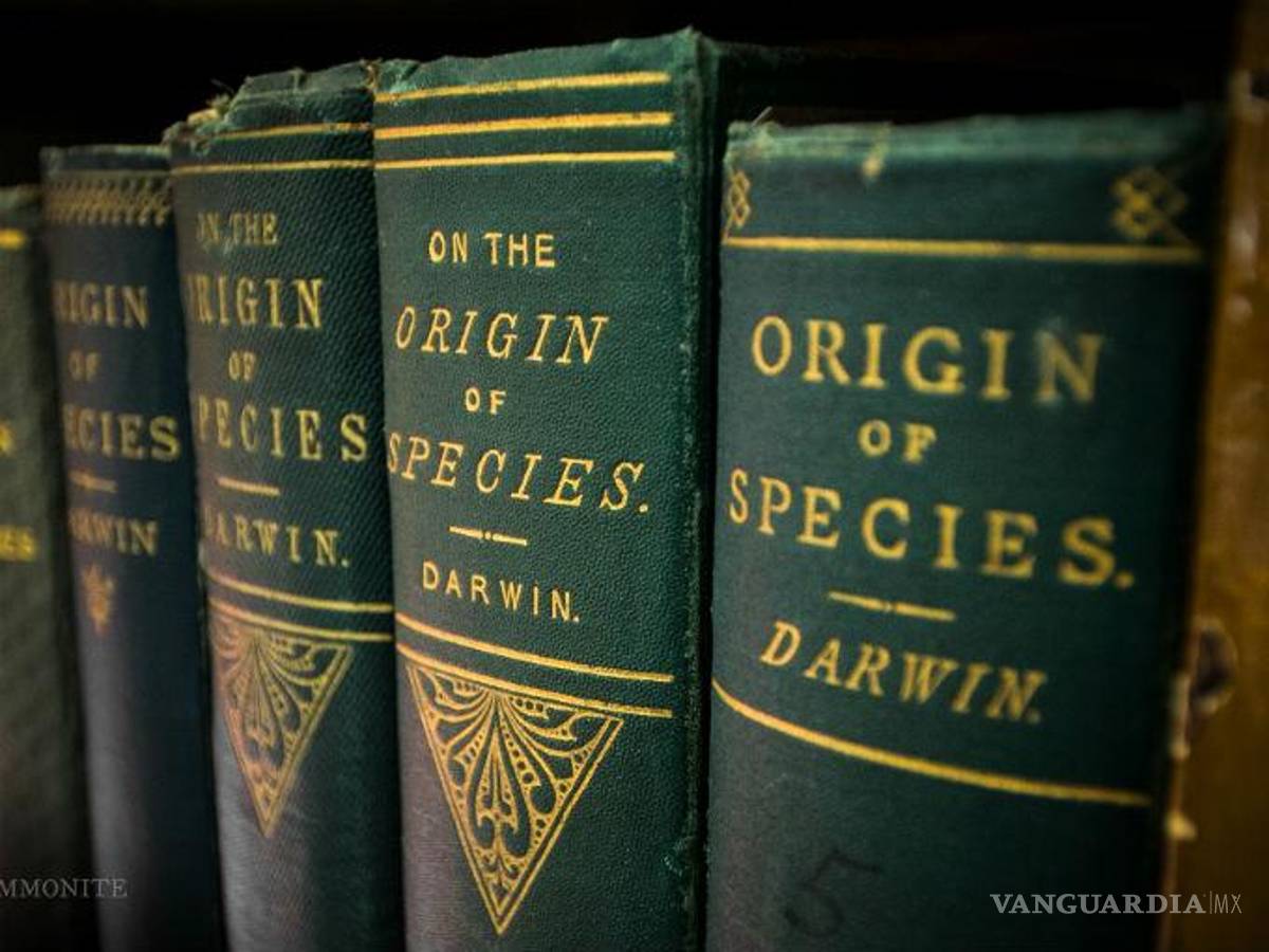 $!10 libros que cambiarán tu forma de ver al mundo