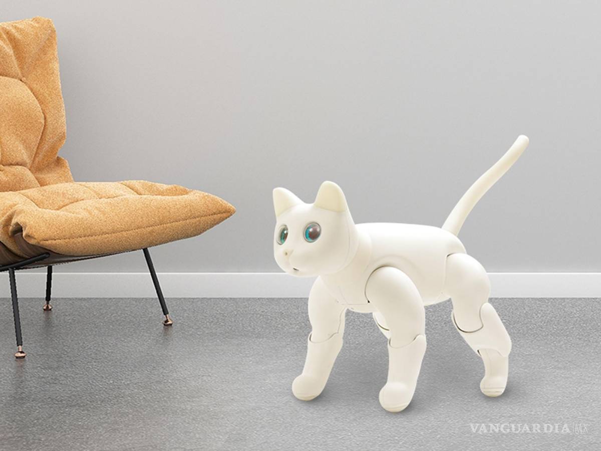 $!MarsCat, cuerpo blanco y ojos azules.