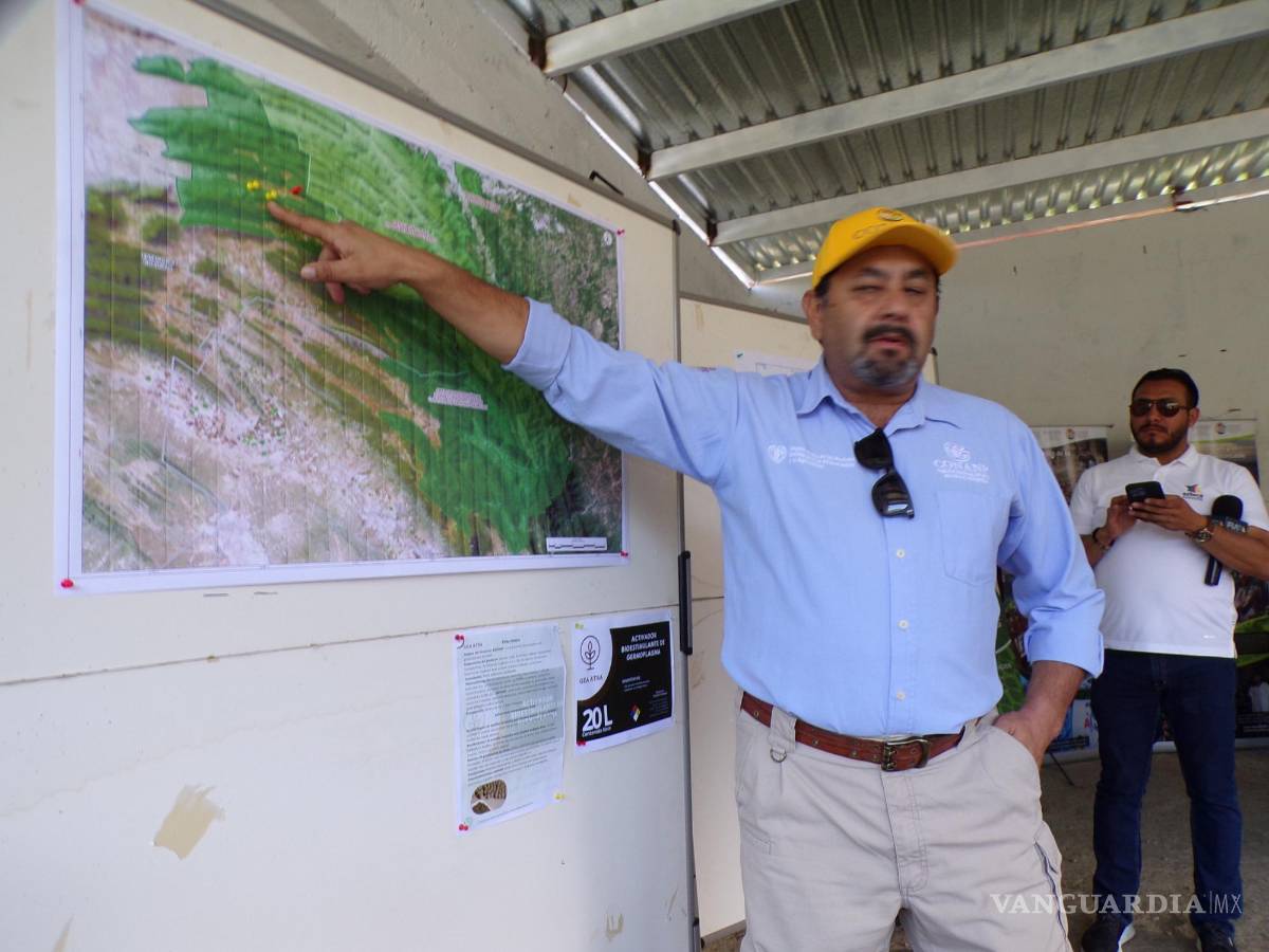 $!Los especialistas dieron detalles de la labora tecnológica de reforestación.