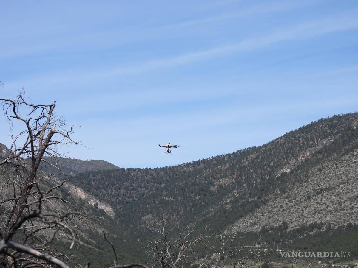 $!El proyecto de reforestación con dron abarcó 45 hectáreas del lado de Coahuila, y la misma cantidad del lado de Nuevo León.
