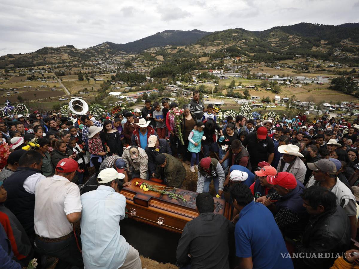 $!¿Por qué proteger las mariposas es tan peligroso?