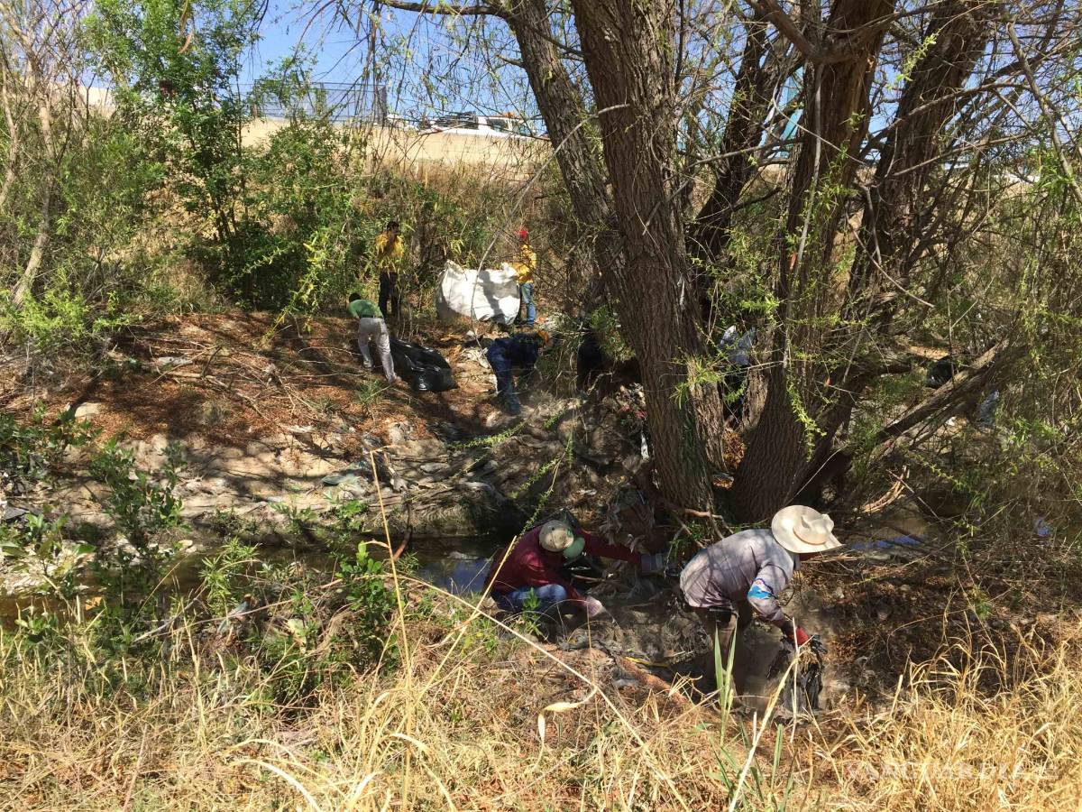 $!Realizan limpia del arroyo Ceballos para conmemorar el Día Mundial del Agua en Coahuila