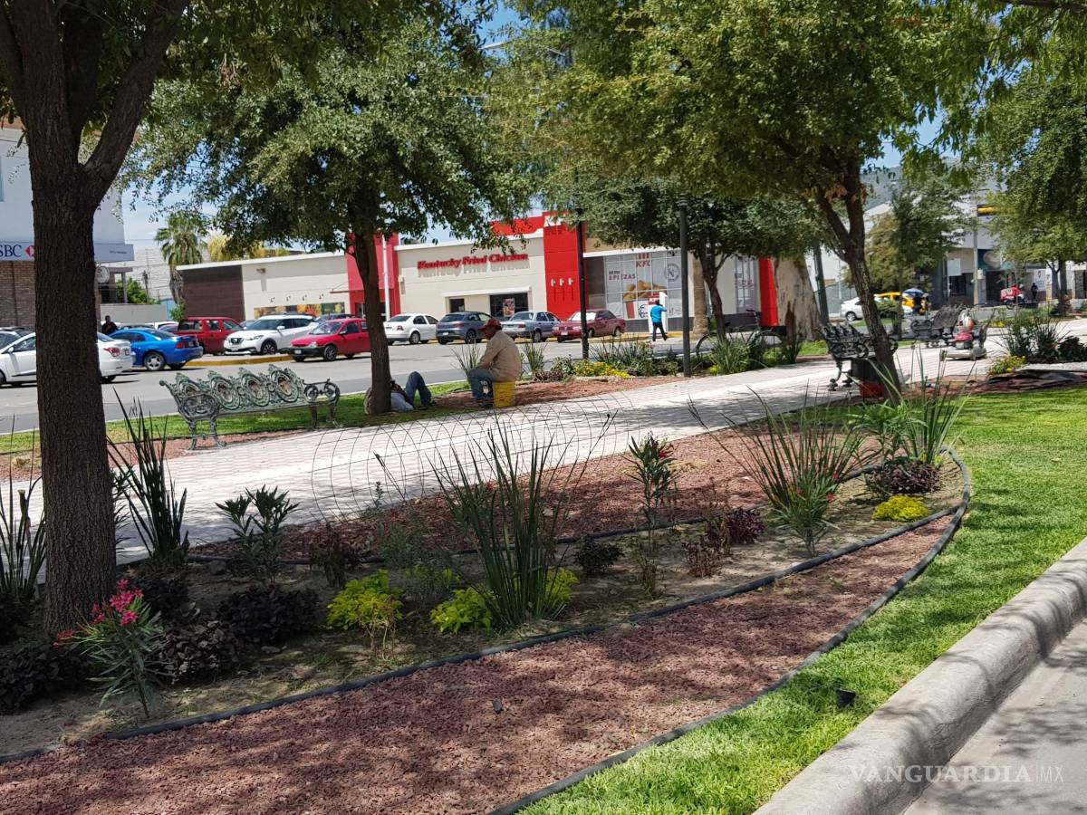 $!Continuarán trabajos de remodelación de la calzada Colón de Torreón