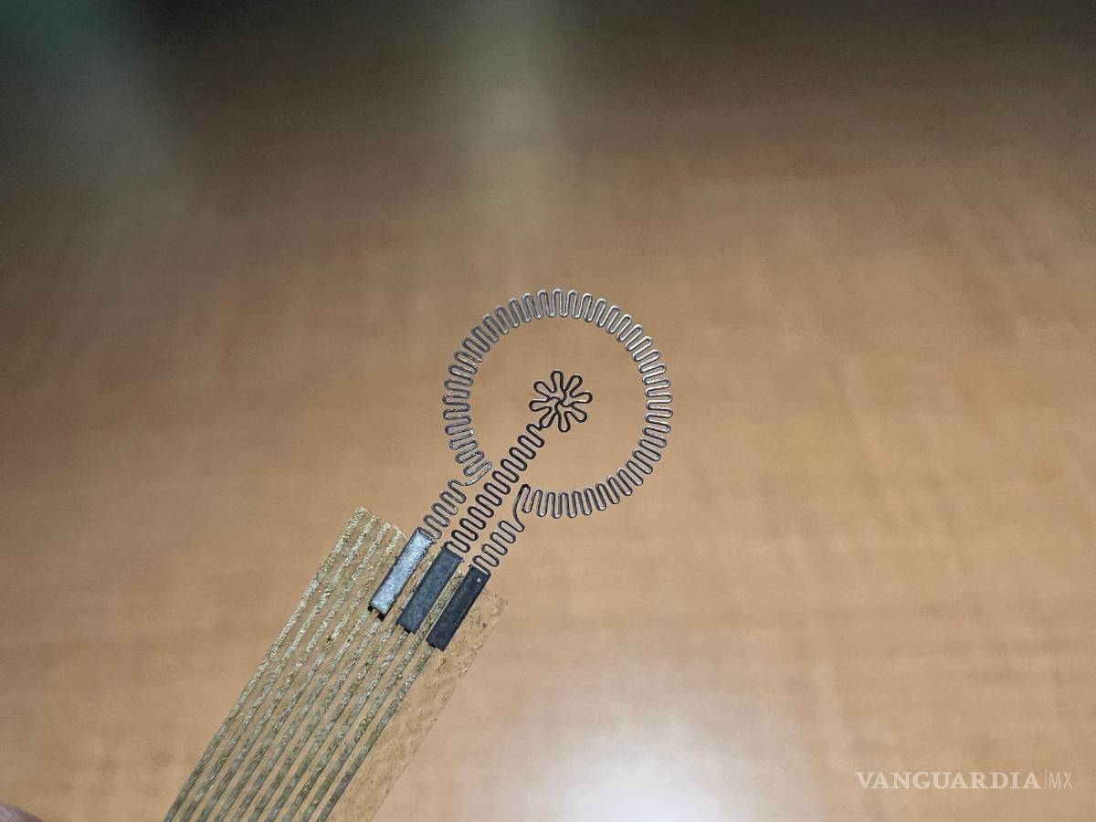 $!Vista cercana del electrodo del dispositivo.