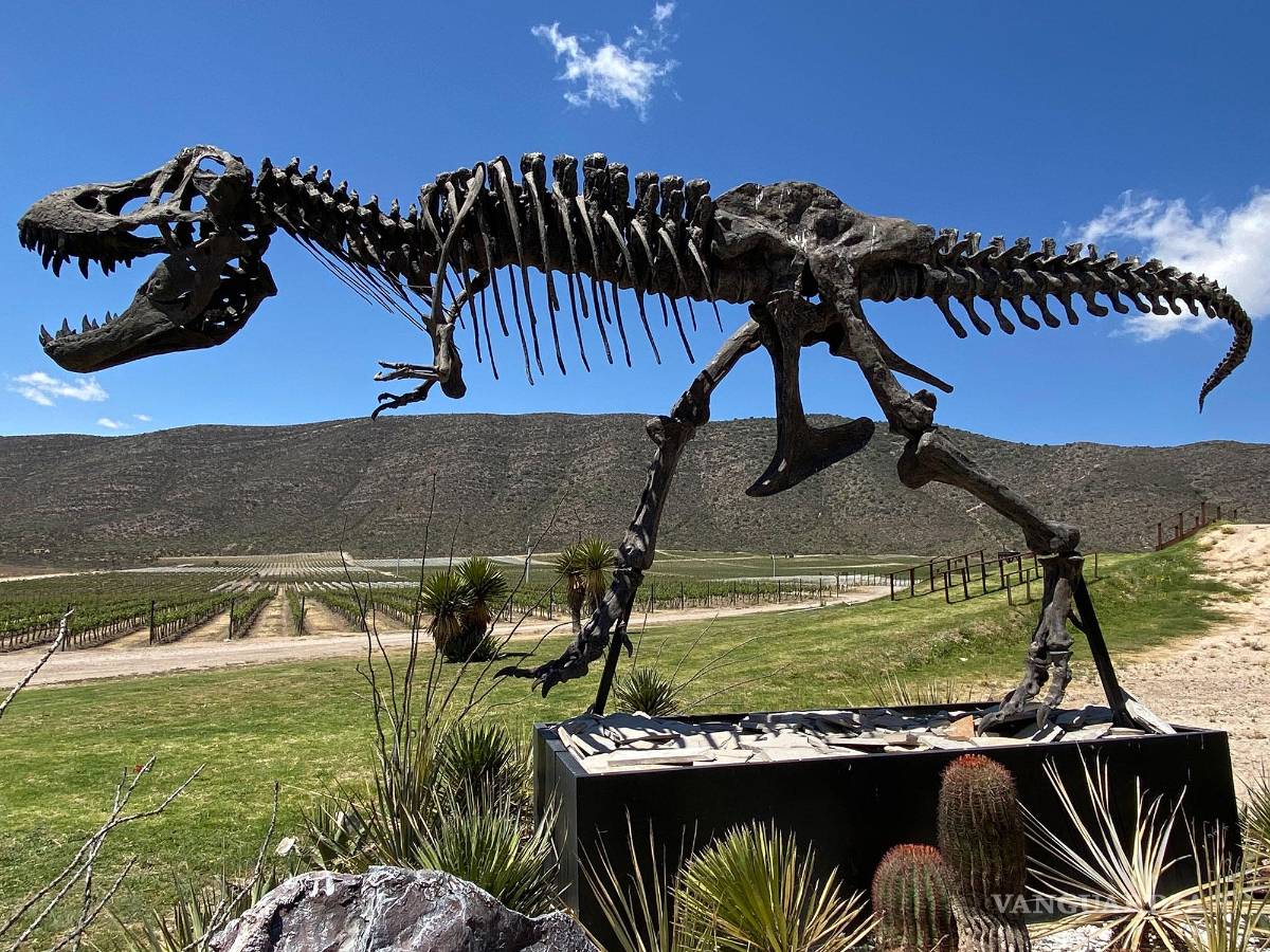 $!La Ruta de Vinos &amp; Dinos se está convirtiendo en una de las más populares en el enoturismo nacional.