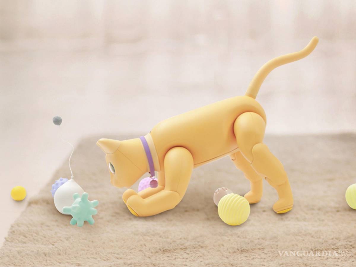 $!MarsCat, un robot de compañía mira sus juguetes.