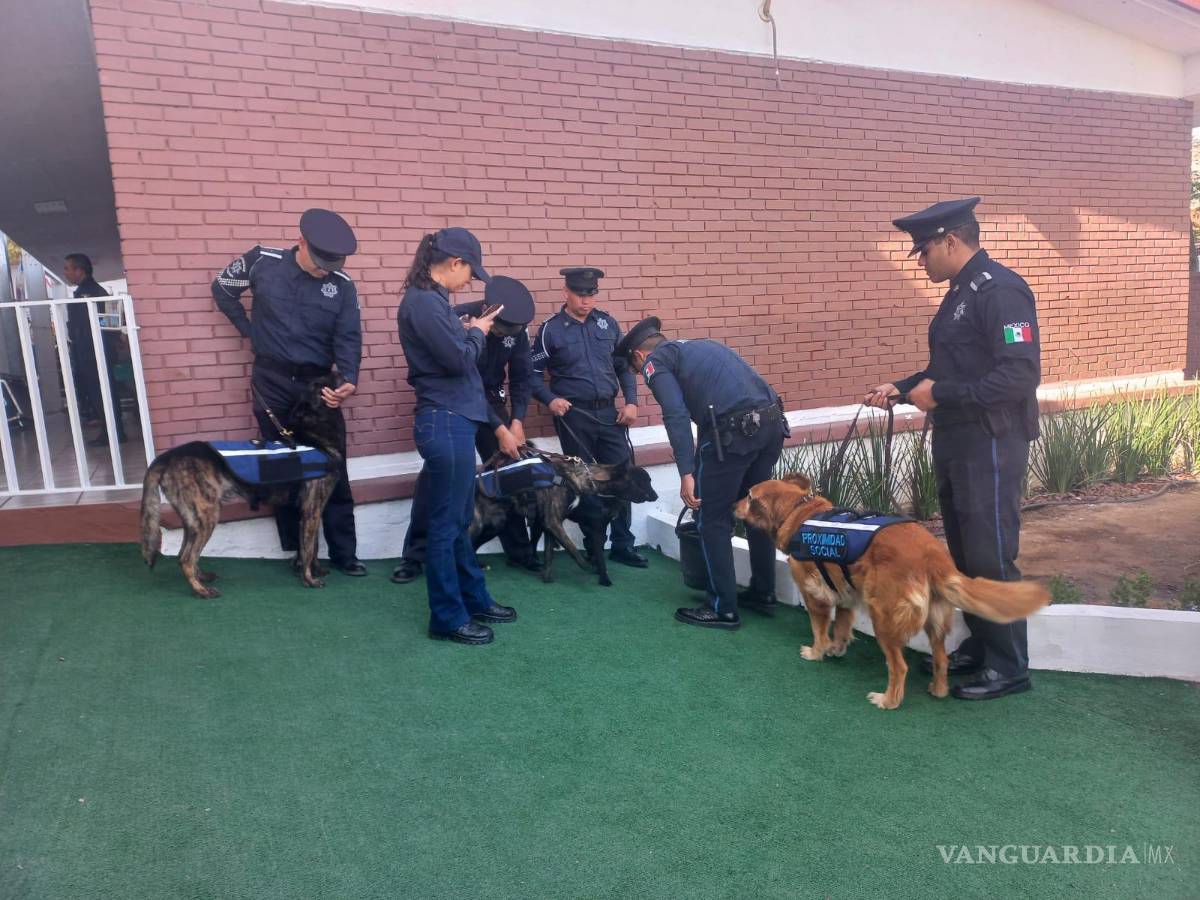 $!De acuerdo con la Comisaría de Seguridad y Protección Ciudadana, el sueldo base rondaría los 18 mil pesos mensuales.