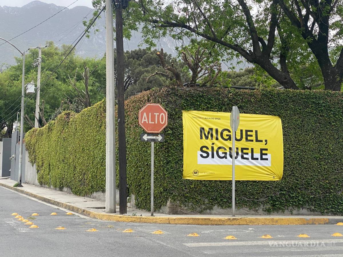 $!Tamaño y profusión de propaganda de políticos, es proporcional a su miedo de perder