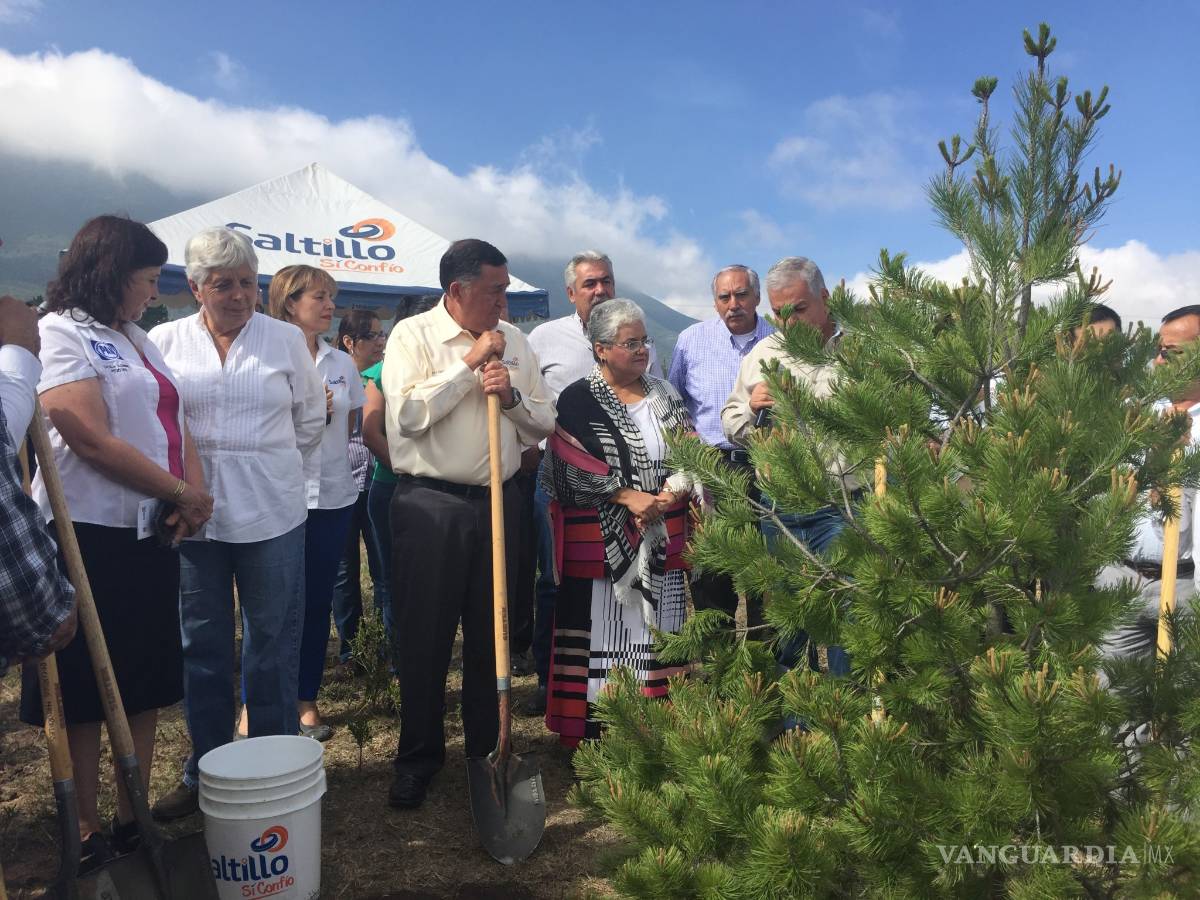 $!Comienza plantación del muro verde en Saltillo