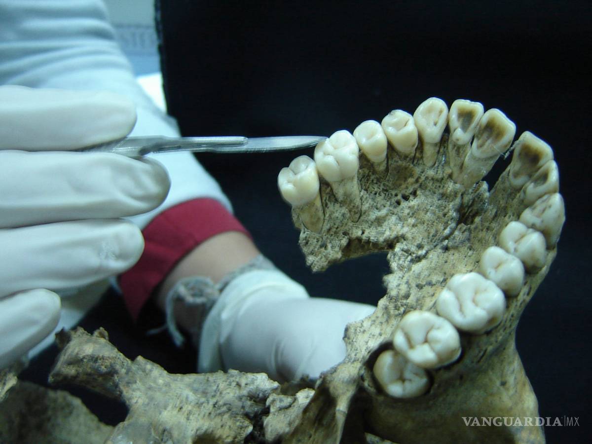 $!Arqueólogo hace nuevos aportes sobre sacrificios humanos en Tenochtitlan