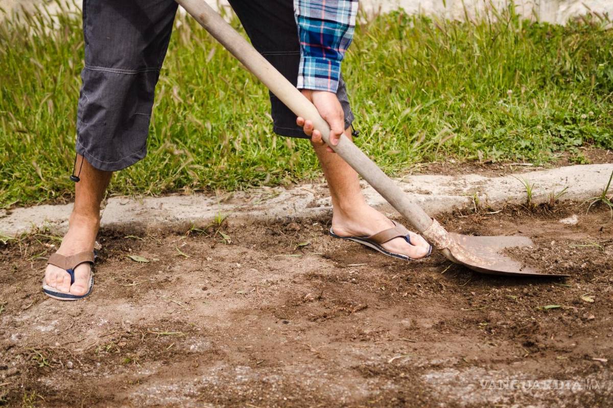 ‘Si todos los días se come, todos los días hay que trabajar’: historia de Tacho Ruiz