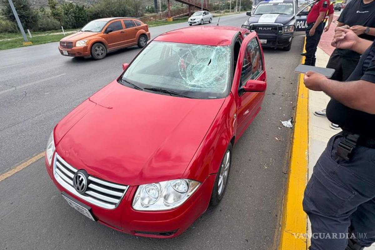 $!Cae trozo de madera de camión y daña parabrisas de vehículo, en Ramos Arizpe