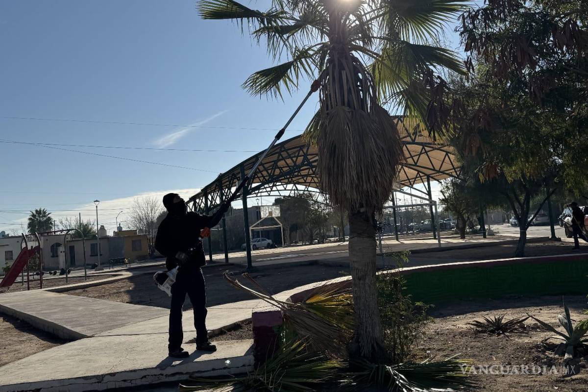 $!La brigada municipal atendió vialidades, plazas y áreas verdes del sector.