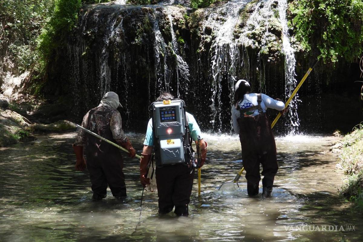 $!El equipo de investigadores realizaron labores en campo en la Región Sureste de Coahuila.