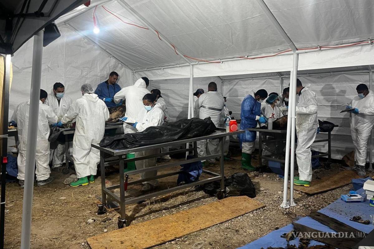 Caso Plenitud: suman 129 cuerpos identificados y 86 denuncias por fraude contra responsables