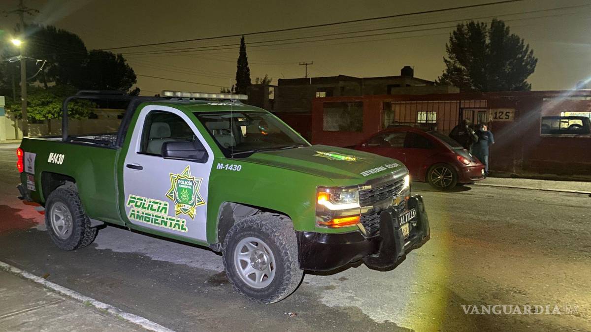Hombre en estado tóxico mata a perrito en Saltillo