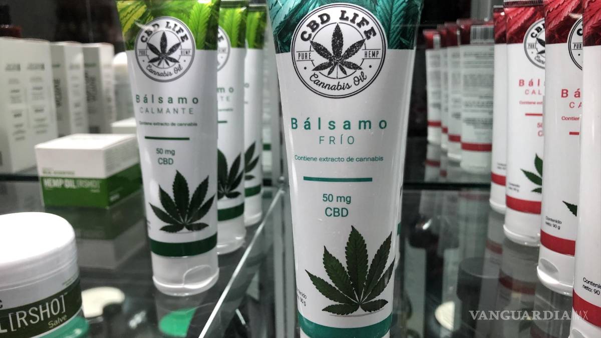 Saltillo: Adultos mayores aumentan consumo de productos derivados del cannabis (mariguana)