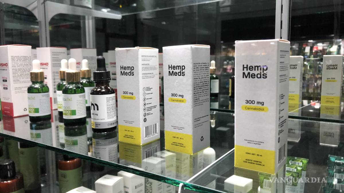 Saltillo: Adultos mayores aumentan consumo de productos derivados del cannabis (mariguana)