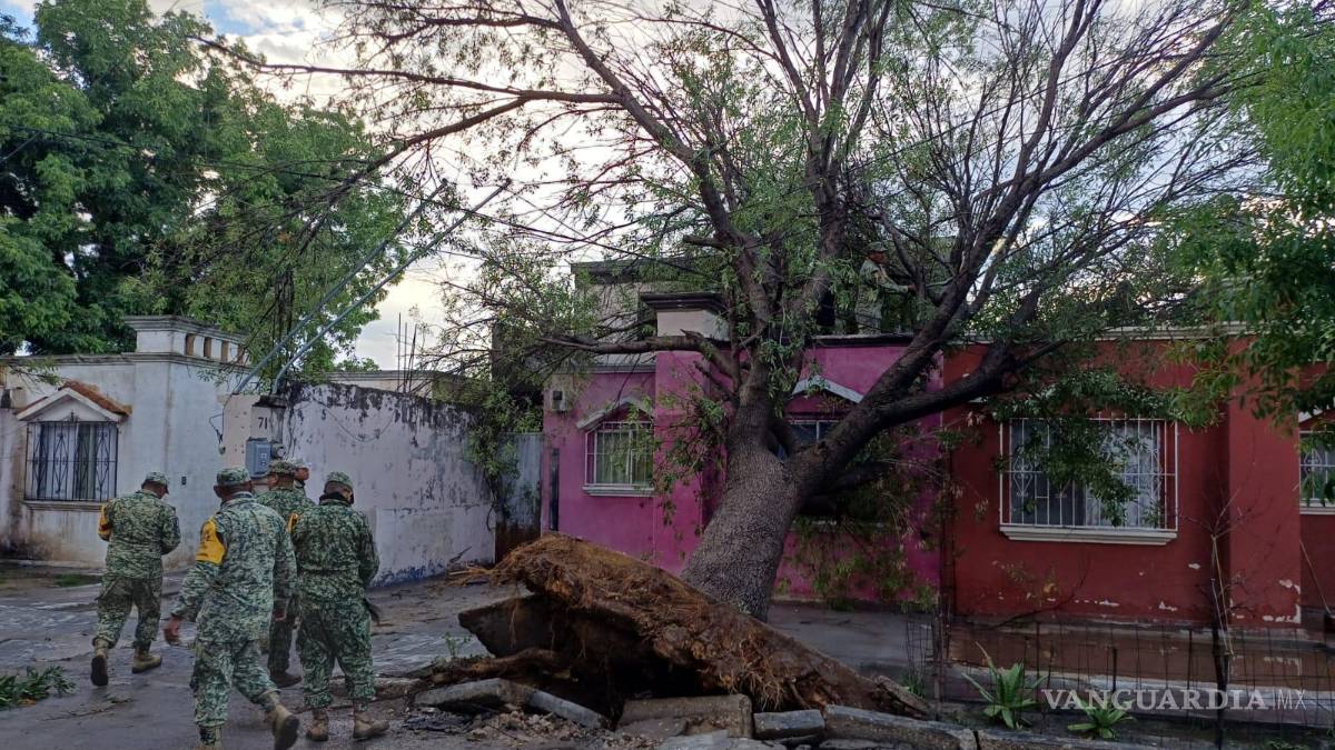 Tormenta derriba árboles y deja daños en Acuña y Zaragoza