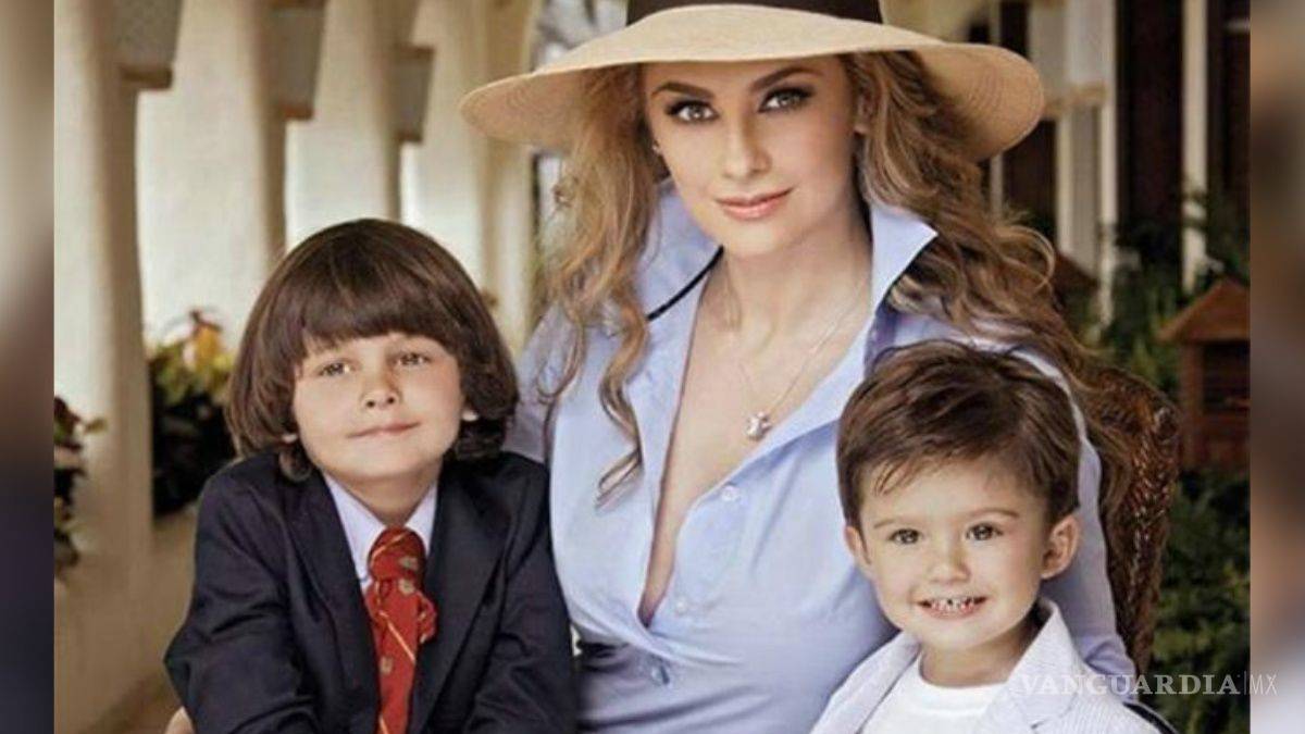 ‘Vamos a cumplir’, asegura abogado de Luis Miguel sobre manutención de sus hijos