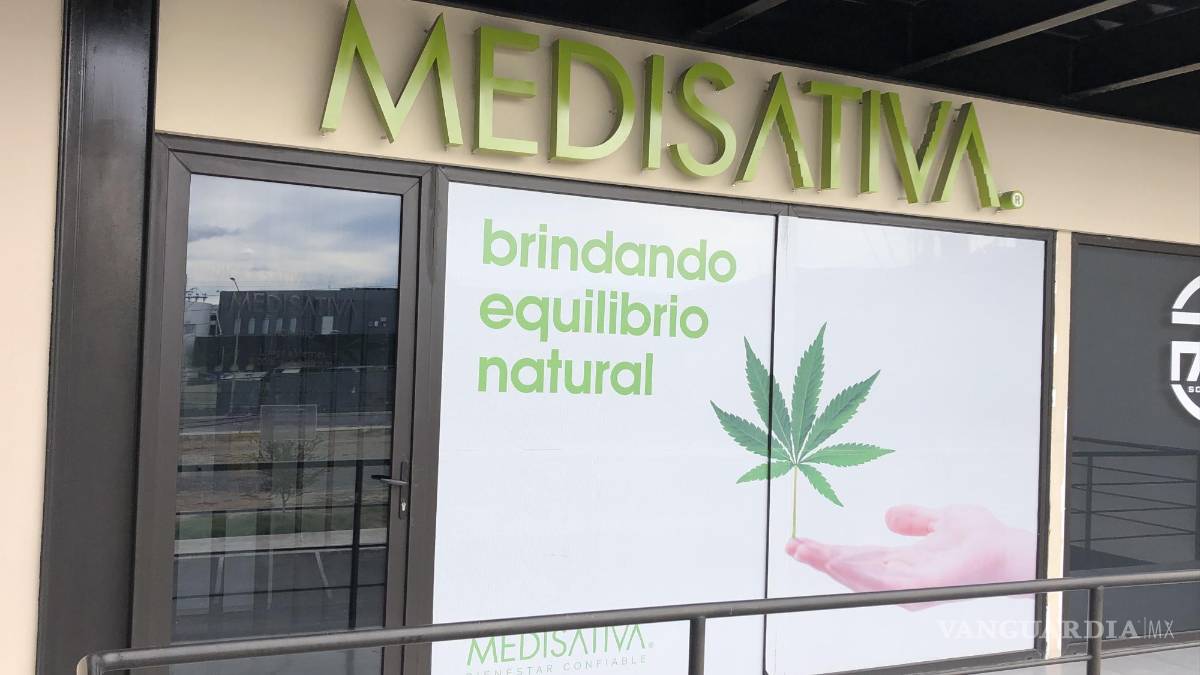 Saltillo: Adultos mayores aumentan consumo de productos derivados del cannabis (mariguana)