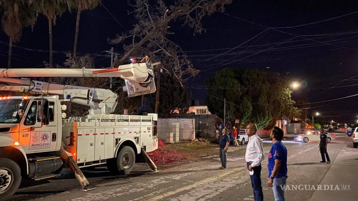 Tormenta derrumba 25 árboles en Monclova: Protección Civil