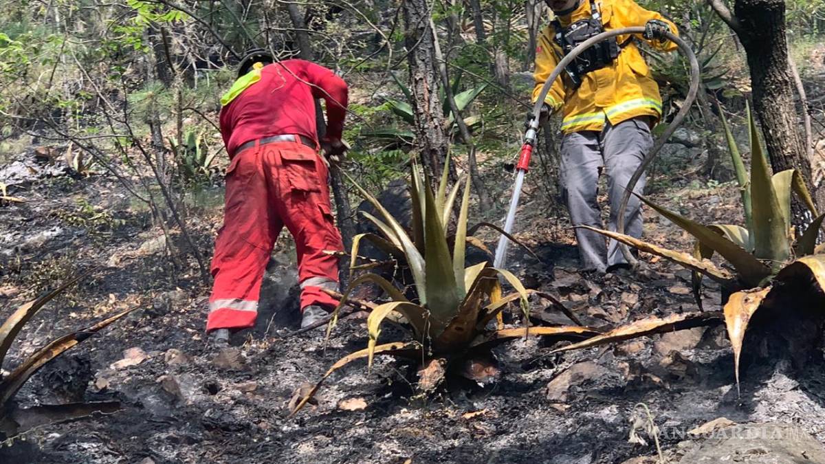 Combate Nuevo León incendios en sus sierras; controla cinco de siete