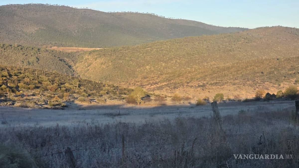 Frente Frío número 13 trae la presencia de hielo al sur de NL