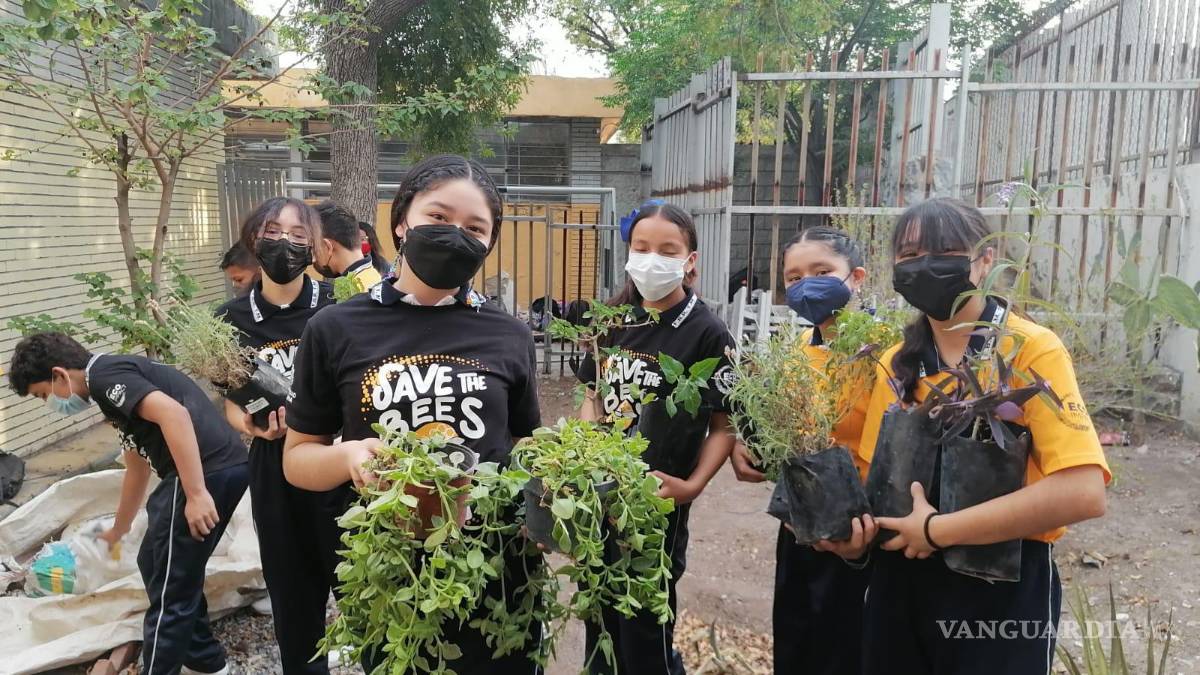 Promueven alumnos de Universidad Carolina la creación de Jardines Polinizantes