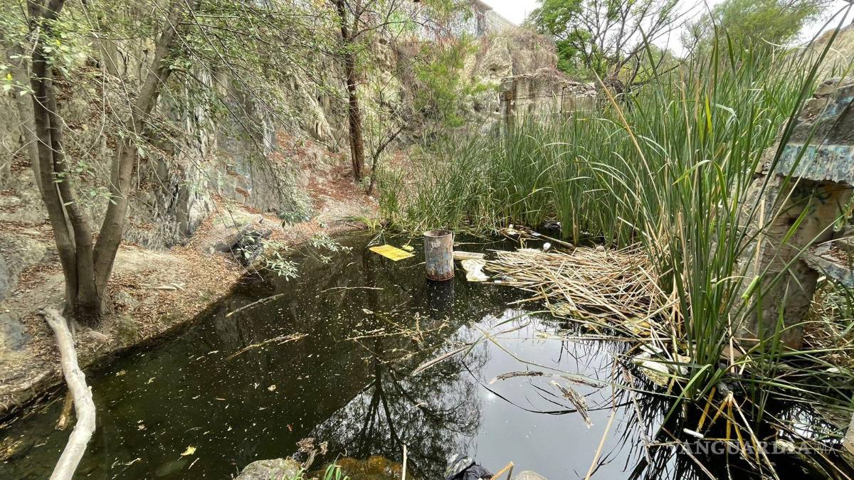 Alto grado de contaminación del Pozo Azul vuelve letal entorno para Carpita de Saltillo