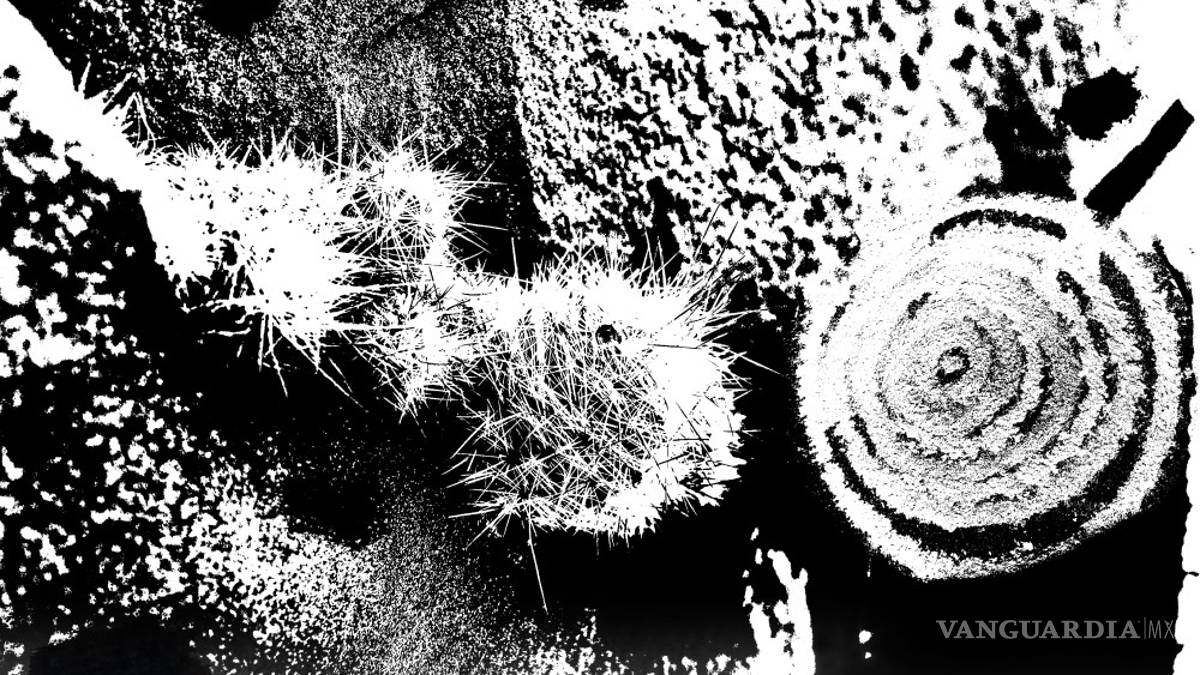 ‘Panoramas’, una evolución desértica