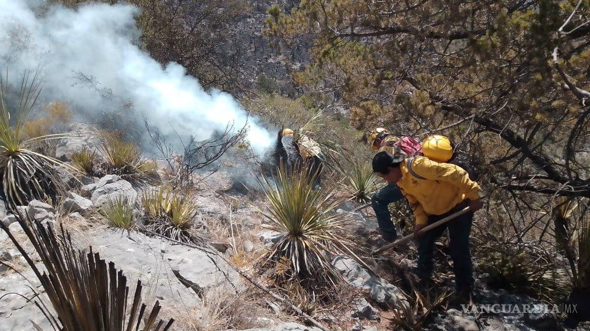 Pese a lluvia y granizo, continúa combate al fuego en sierra de Zapalinamé