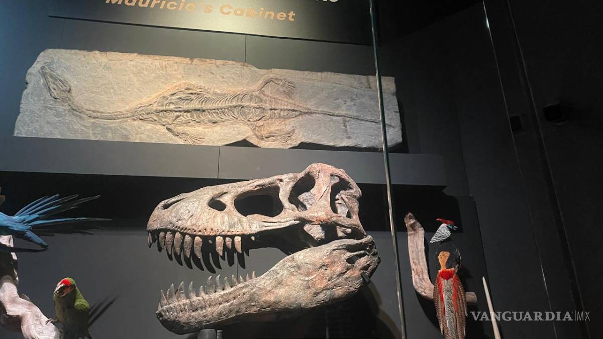 La Milarca abre sus puertas este viernes en San Pedro Garza García, Nuevo León