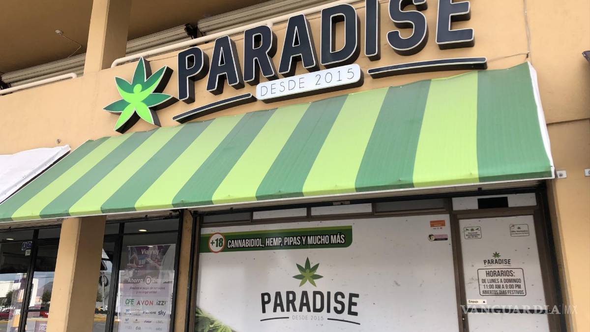 Saltillo: Adultos mayores aumentan consumo de productos derivados del cannabis (mariguana)