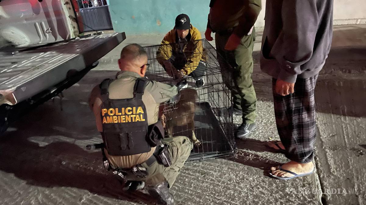 Cortocircuito origina fuerte incendio, en Saltillo