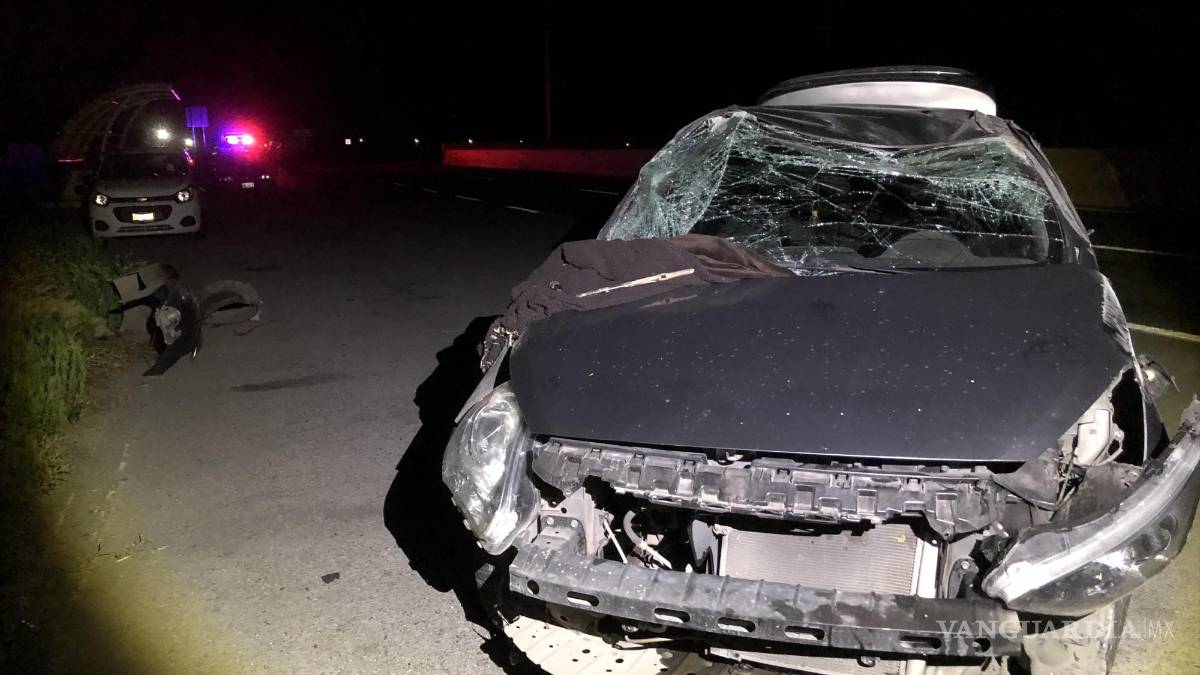 Sale ilesa conductora tras arrollar a dos vacas, en carretera Zacatecas