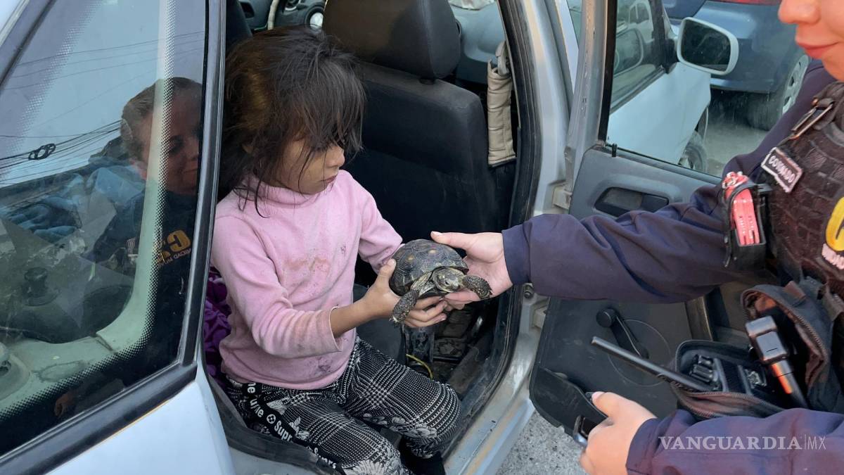 Bomberos rescatan a ‘Princesa’ de incendio en Saltillo; tortuga mascota es entregada a su familia