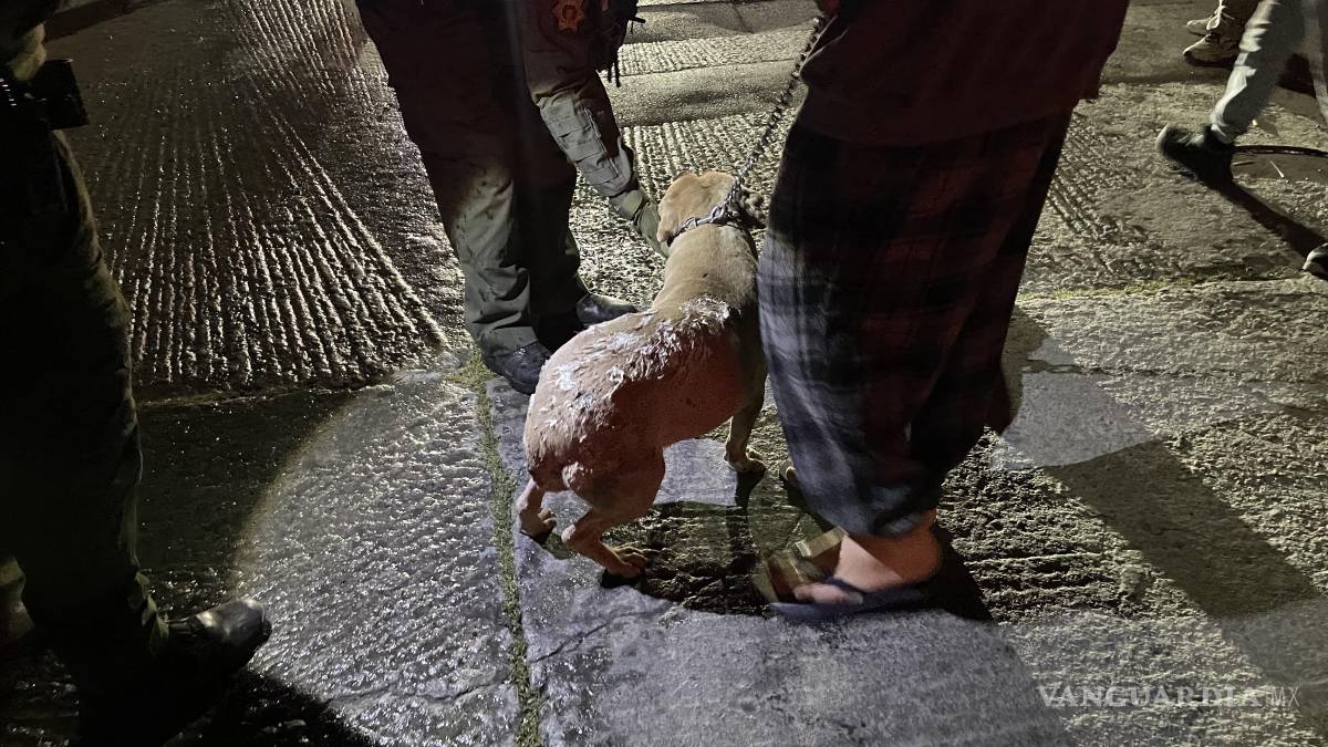 Cortocircuito origina fuerte incendio, en Saltillo