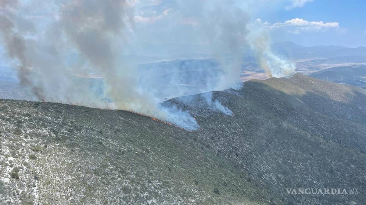 Sierra de Arteaga: consumen dos incendios 40 hectáreas en solo 24 horas; Bosques de Huachichil y Jagüey de Ferniza, los afectados