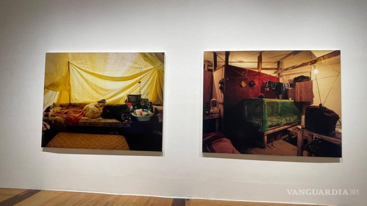 Presentan en Marco exposición ‘Diálogos. Artistas Mujeres en la Colección Ella Fontanals-Cisneros’