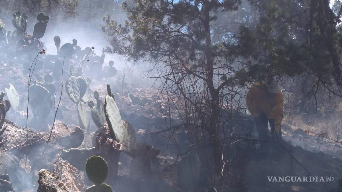 Incendio consume 100 hectáreas de pastizal en El Tunal, en Arteaga; logran controlarlo