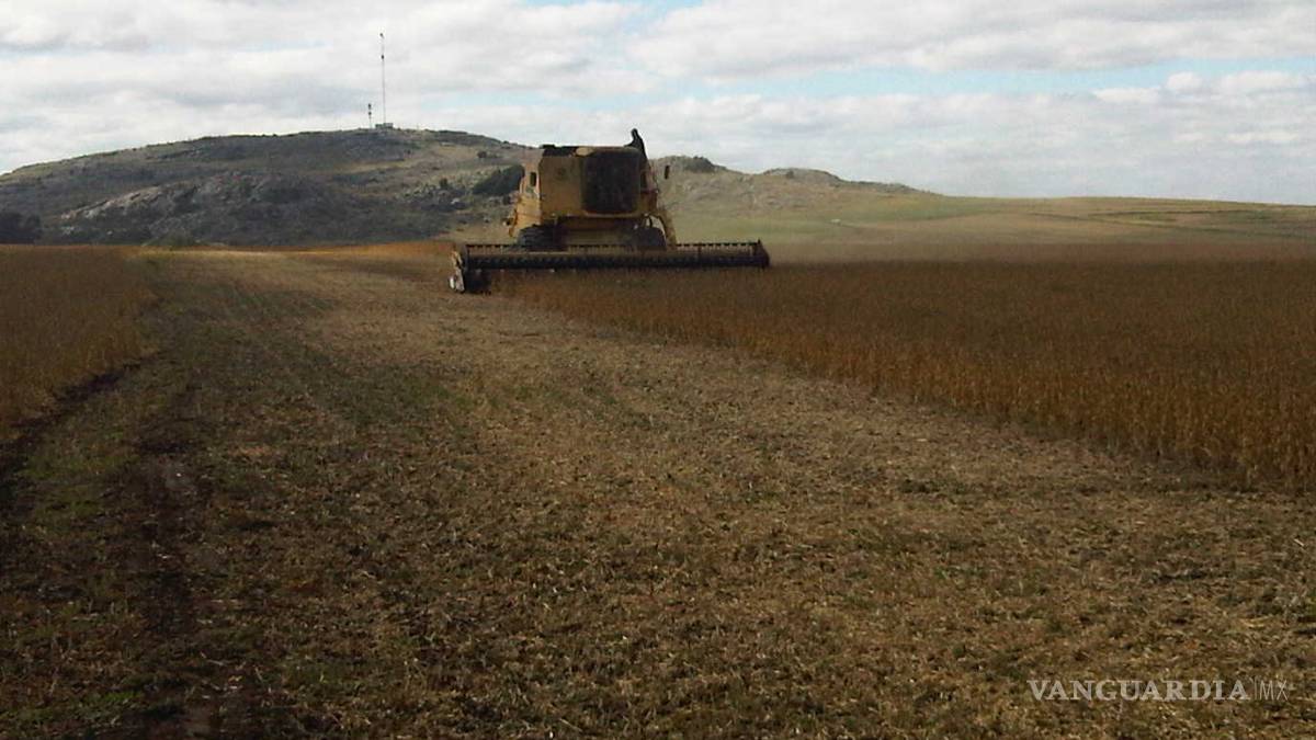Los desastres naturales aumentan las importaciones agrícolas en Latinoamérica