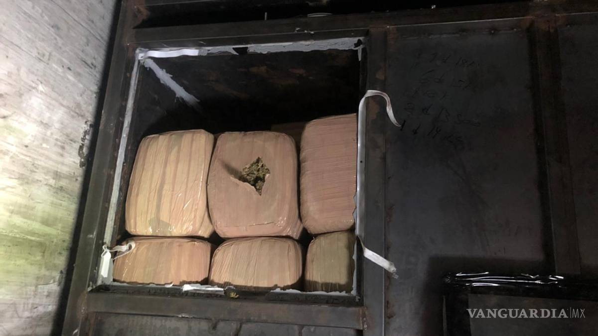 Decomisa FGR 7 toneladas de mariguana en García, Nuevo León