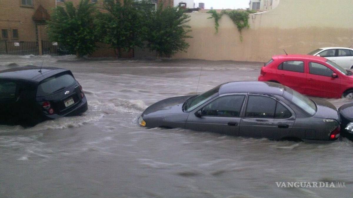 Cubrirá seguro daños de autos... si es de cobertura amplia