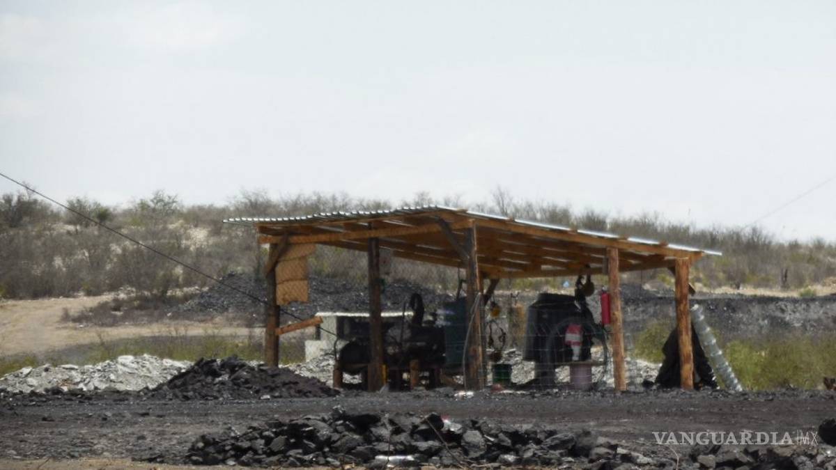 Ofrece CFE a los carboneros compras a discreción: MARS