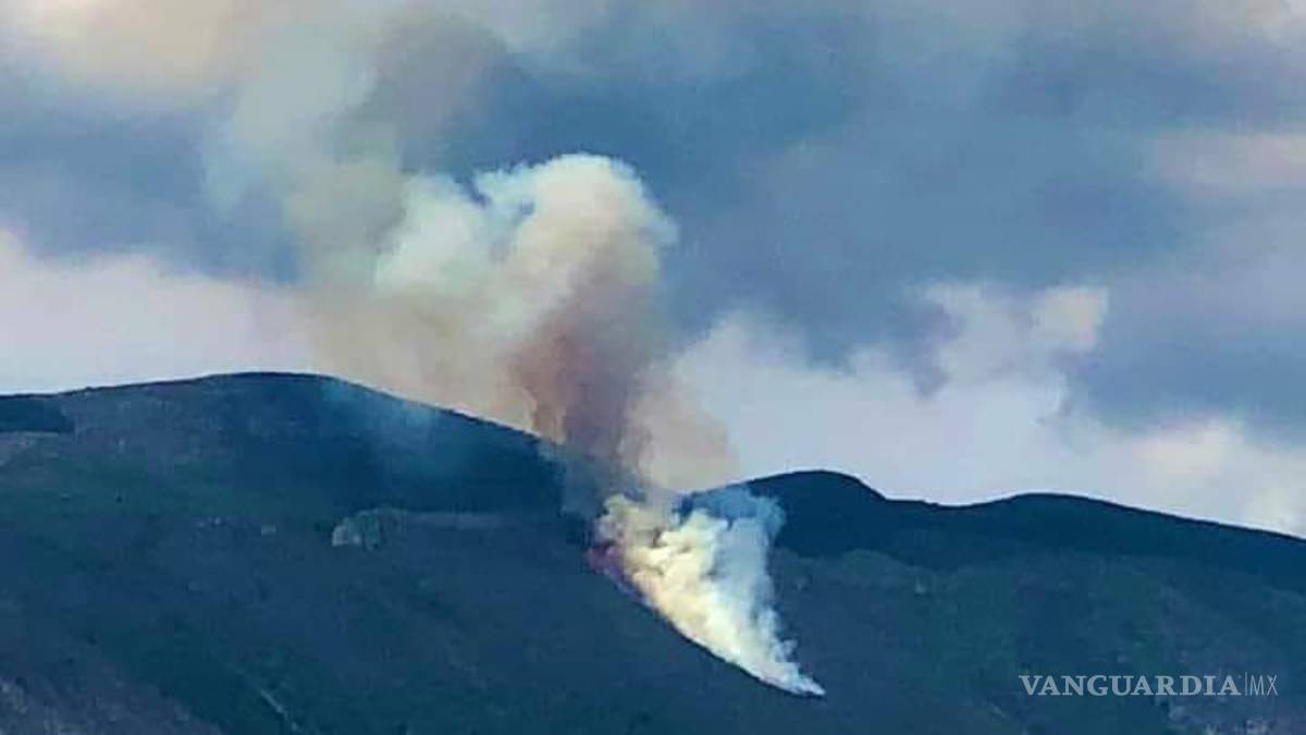 Se reactiva incendio en la sierra de Parras de la Fuente