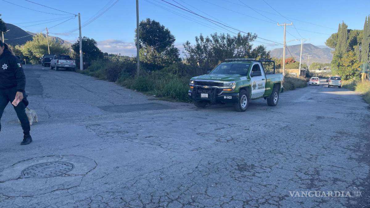 Reportan osezno en zona de Lomas de Lourdes