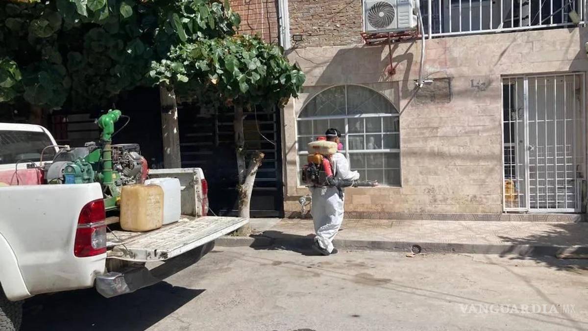 Establos favorecen proliferación de plaga de moscas en La Laguna