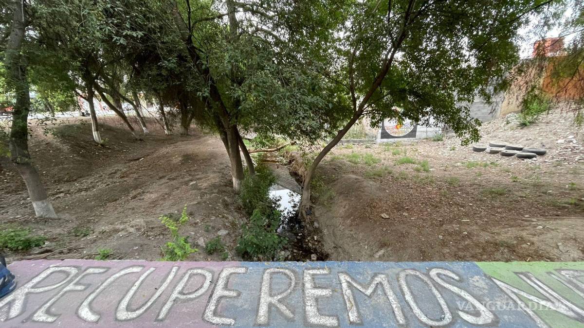 Alto grado de contaminación del Pozo Azul vuelve letal entorno para Carpita de Saltillo