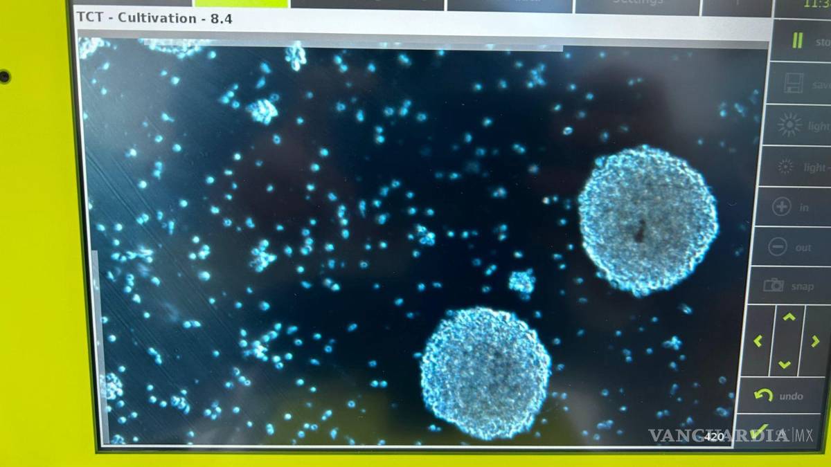 Nominan a científico de Coahuila a premio internacional por su contribución en investigación contra el cáncer